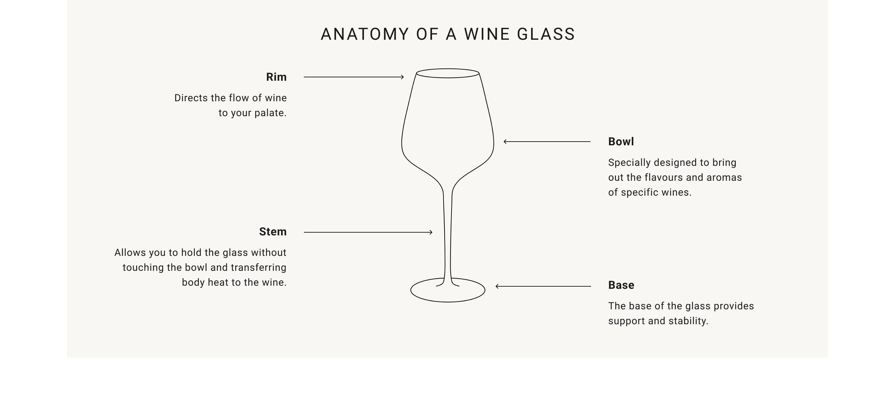 Anatomy of a Wine Glass